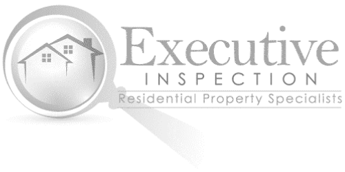 logo Executive Inspection Services white